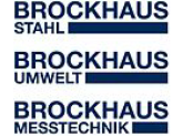 Фирма "Brockhaus Messtechnik", Германия