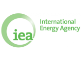 Фирма "International Energy Systems - ECOM America Ltd.", США