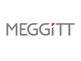 Фирма "Meggitt Sensing Systems", Швейцария, Великобритания